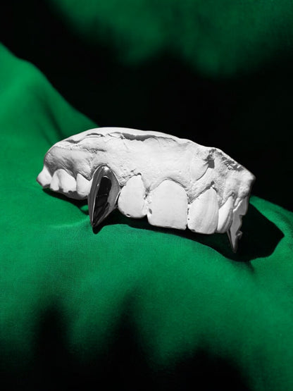 Double Vampire Fang Grillz UK | Twin Canine Caps with Star Detail | Green Skull Grillz